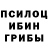 Галлюциногенные грибы Psilocybe Nik Nair