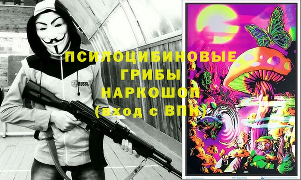 ГАЛЛЮЦИНОГЕННЫЕ ГРИБЫ Алзамай