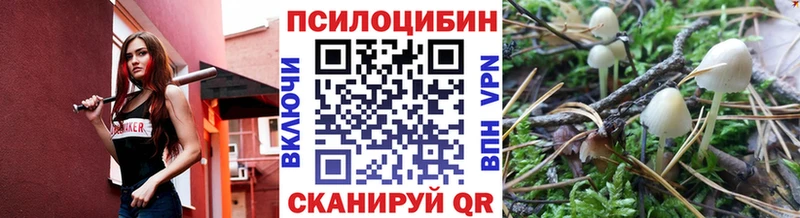 Галлюциногенные грибы мухоморы  blacksprut ССЫЛКА  Новочебоксарск 