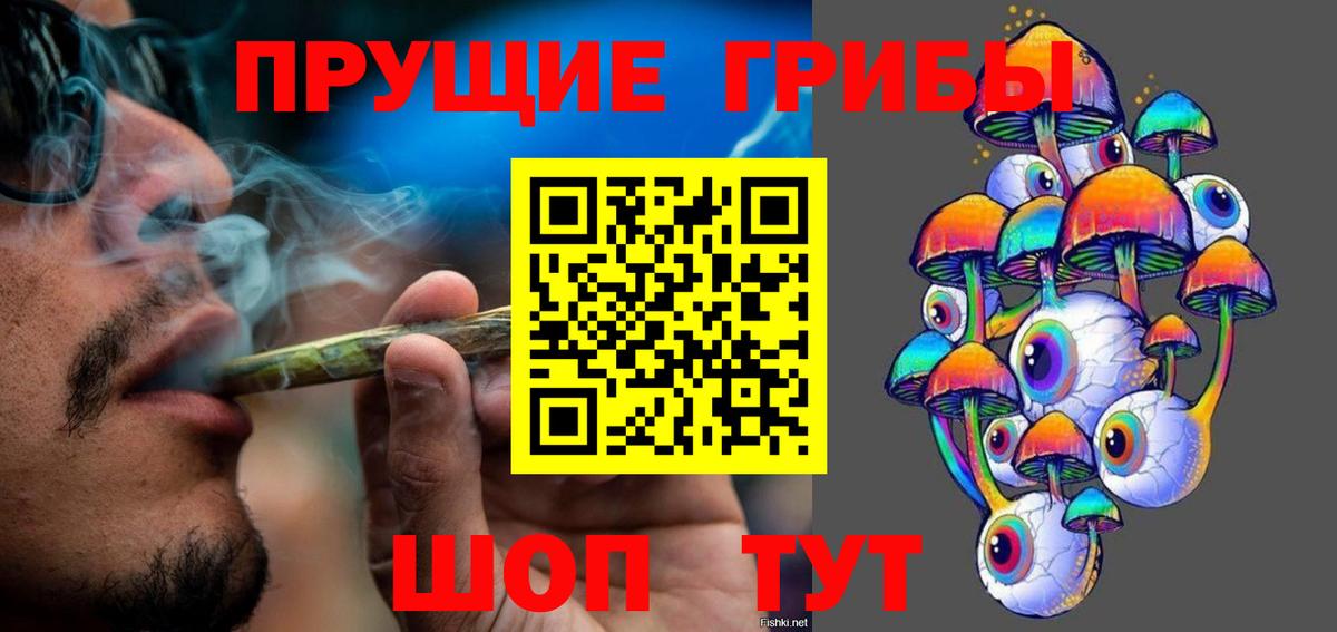 Новочебоксарск  продажа наркотиков  Галлюциногенные грибы мухоморы  Вход с VPN  Галлюциногенные грибы мицелий 
